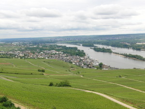 Blick auf Rüdesheim