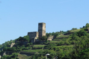 CIMG8519