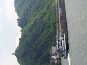 IMG_20150515_120904
