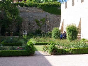 IMG_20150521_172304