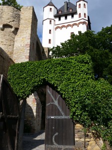 IMG_20150521_172357