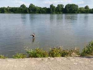 IMG_20150521_172916