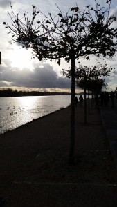 20151122_142527