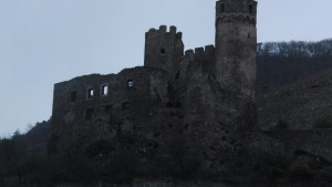 CIMG0202
