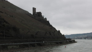 CIMG0207
