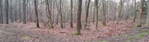 20160206_100451