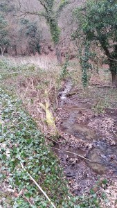 20160312_124734