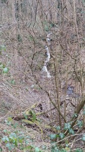 20160312_125146