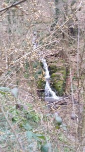 20160312_125319