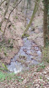 20160312_125409