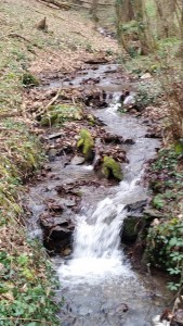 20160312_125432