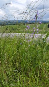 20160604_140231