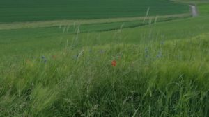 20160604_142414