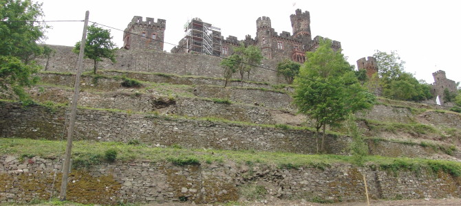 Eine Rundreise und anschließend speisen auf der Burg Reichenstein