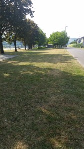 20150605_160316