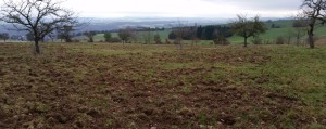 20160206_090757