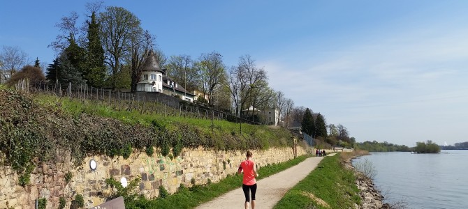 3. Tourenvorschlag: Von Eltville über Walluf nach Schierstein