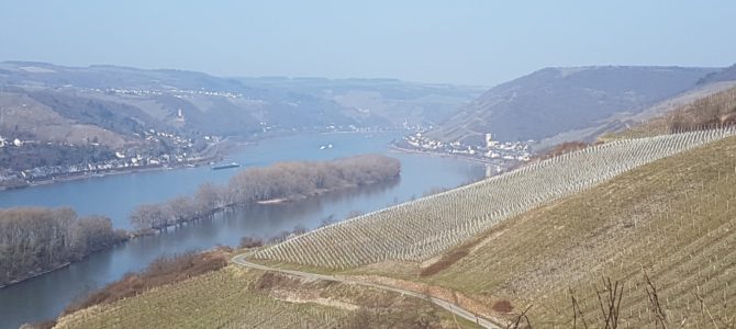6 Burgen auf (fast) einen Blick – die Wanderung von Assmanshausen nach Lorch 6 Burgen auf (fast) einen Blick – die Wanderung von Assmanshausen nach Lorch