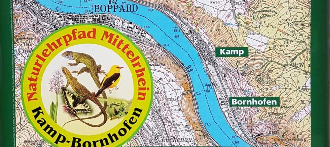 Der Naturlehrpfad von Kamp-Bornhofen nach Filsen- Wie man Natur und Lernen optimal verbinden kann!