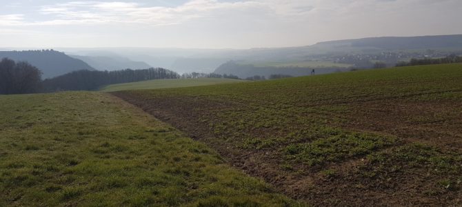 Der Rheinsteig von Kestert nach St. Goarshausen – auf den Spuren der Natur und des ehem. Bergbaus Der Rheinsteig von Kestert nach St. Goarshausen – auf den Spuren der Natur und des ehem. Bergbaus