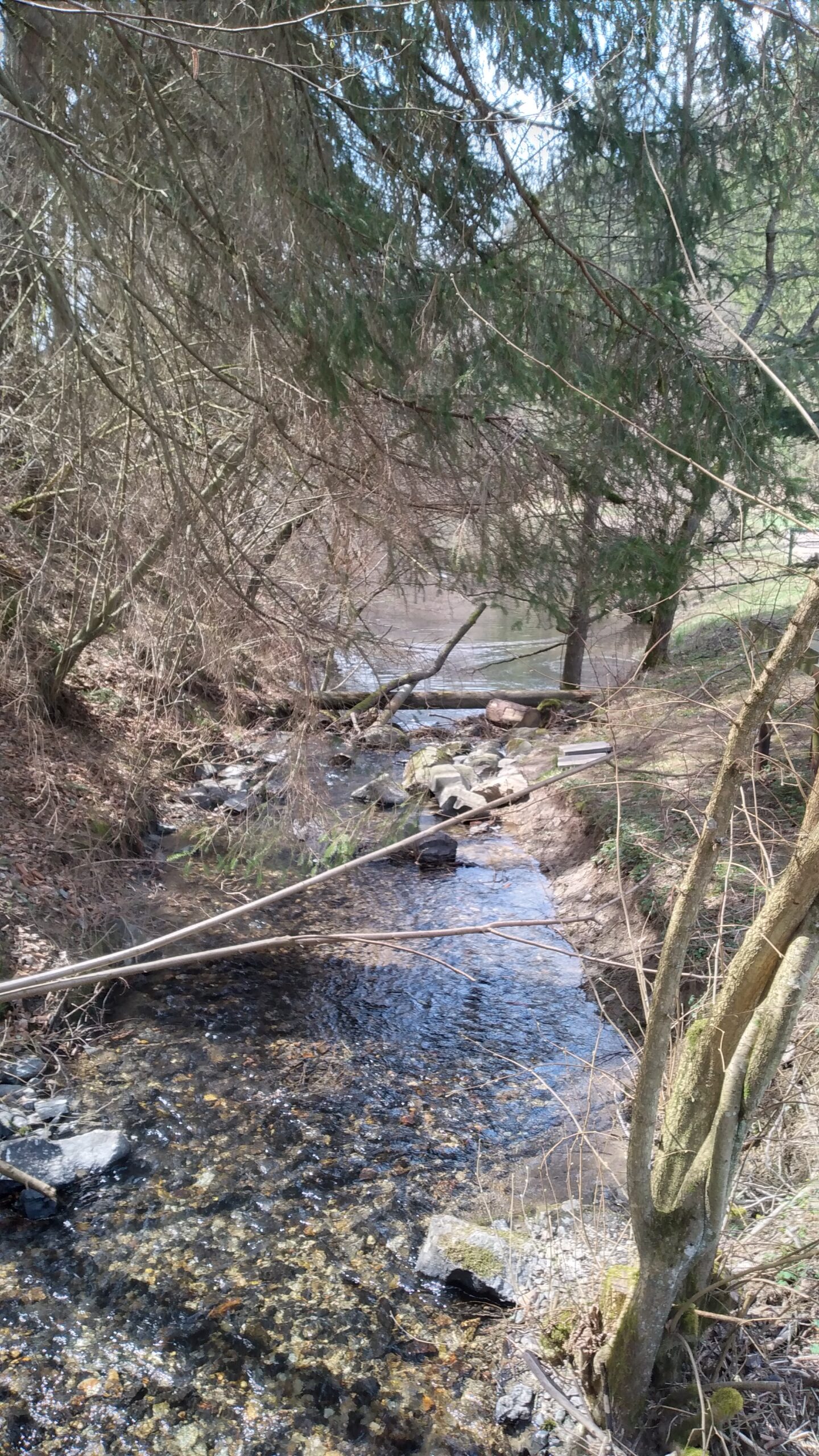 Wanderung auf dem Wispertrail Nummer 9