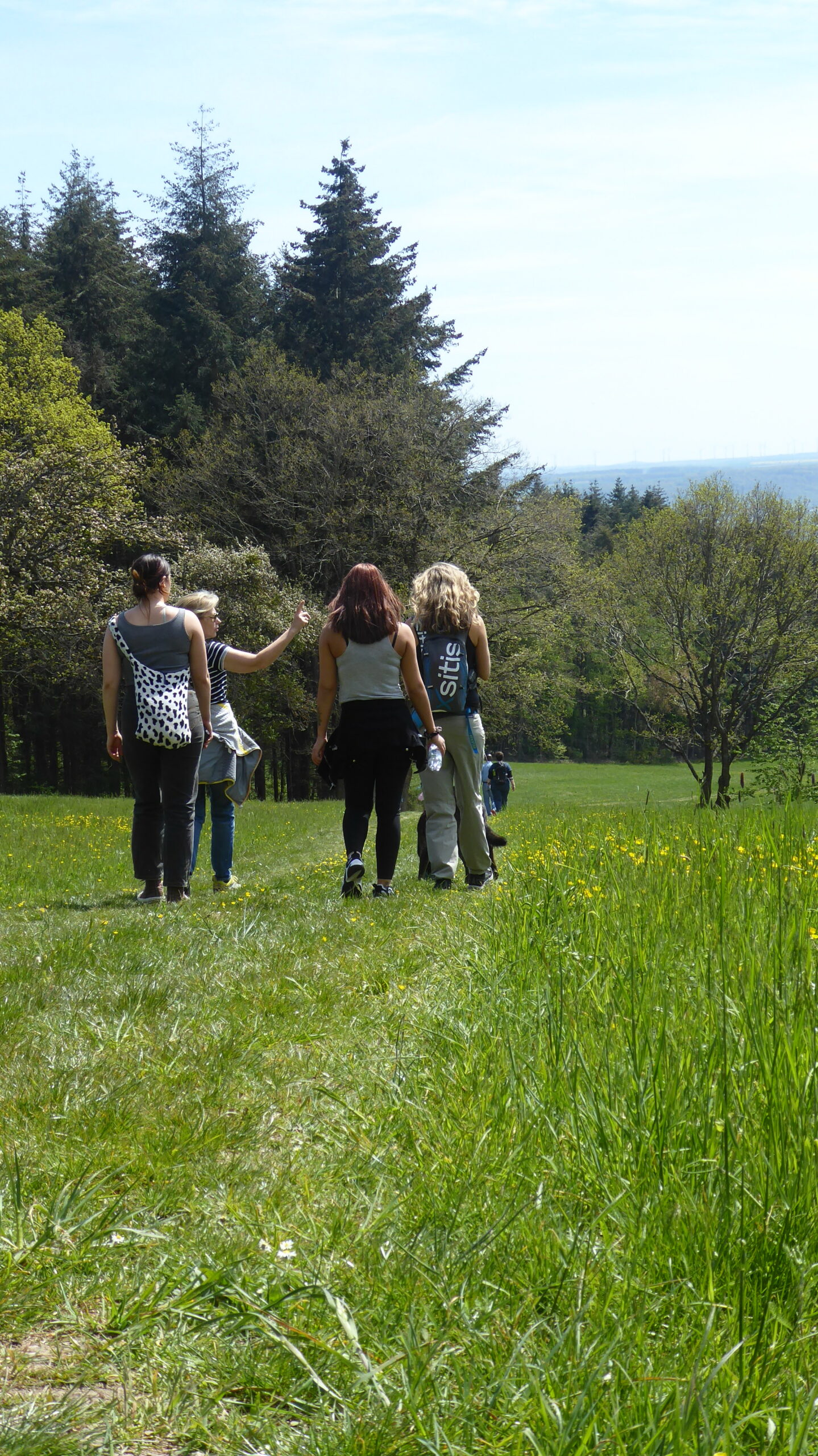 Einmal rund um Stephanshausen wandern