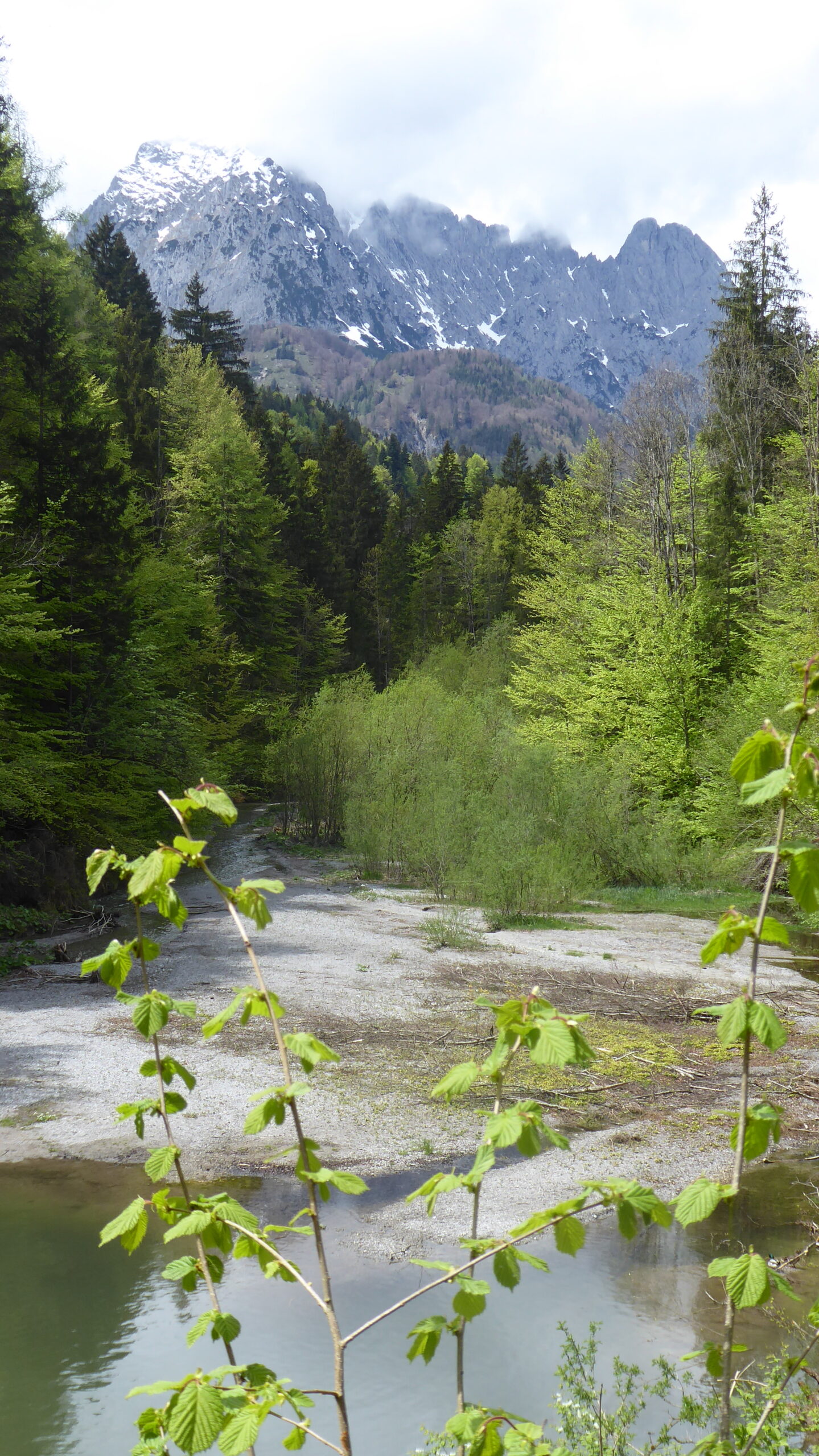 In Kirchdorf, um Kirchdorf und um Kirchdorf herum-und alles in Tirol!