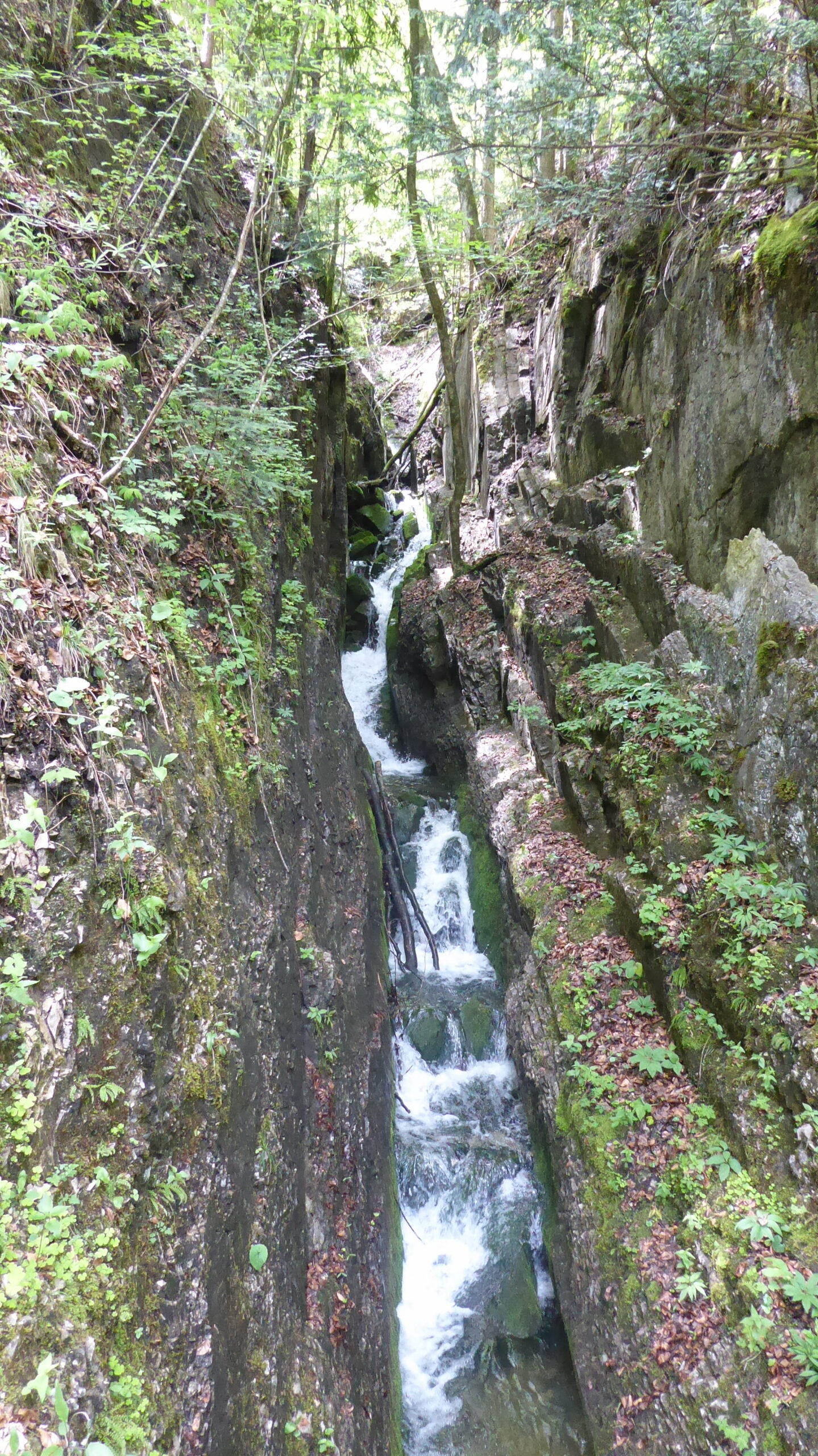 Der Schmugglerweg bei Kössen-ein besonderes Erlebnis in der Natur auf dem Pfad der Tugend