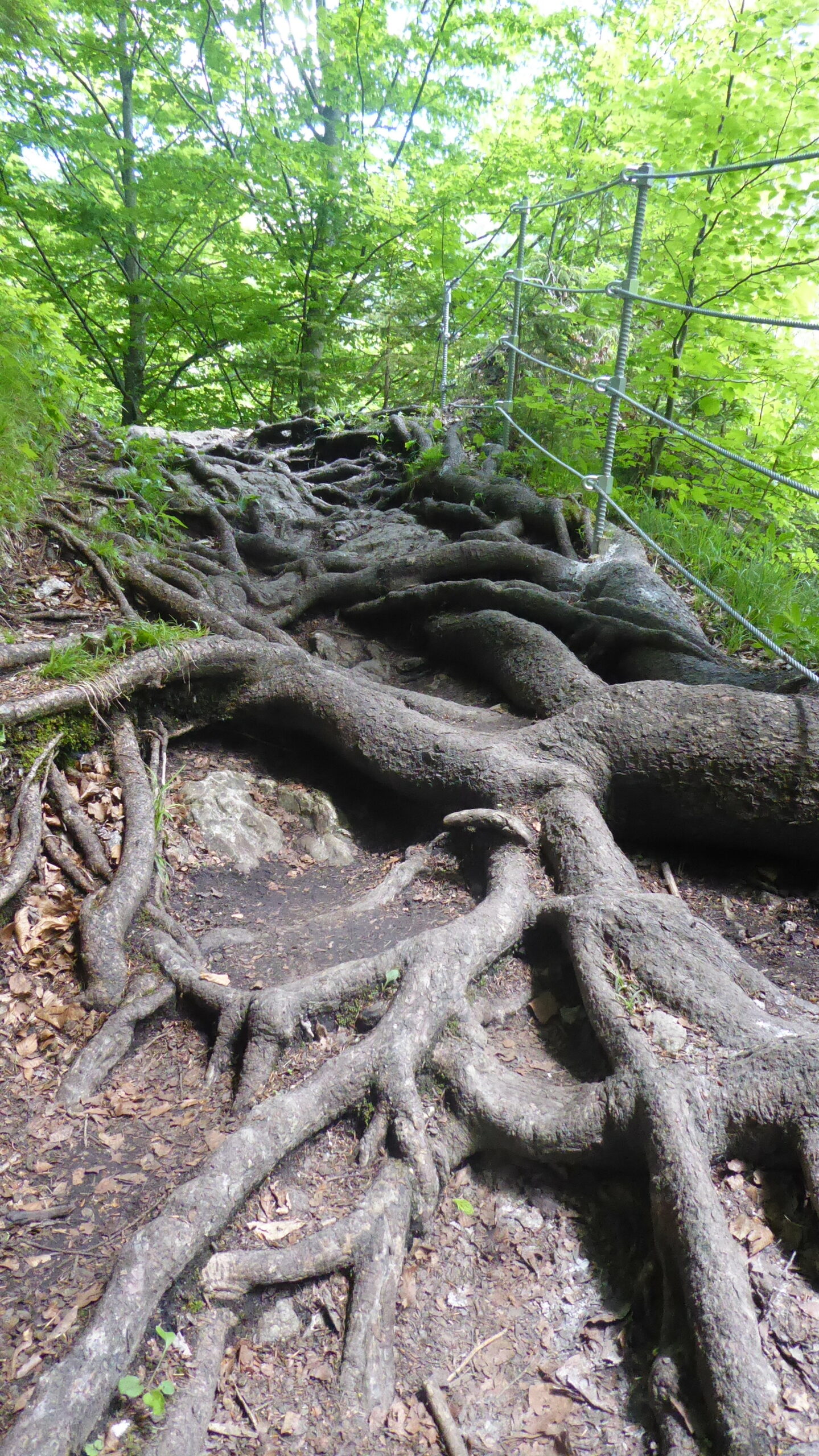 Auf dem Schmugglerweg von Kössen  zum Rudersburgersee in Bayern
