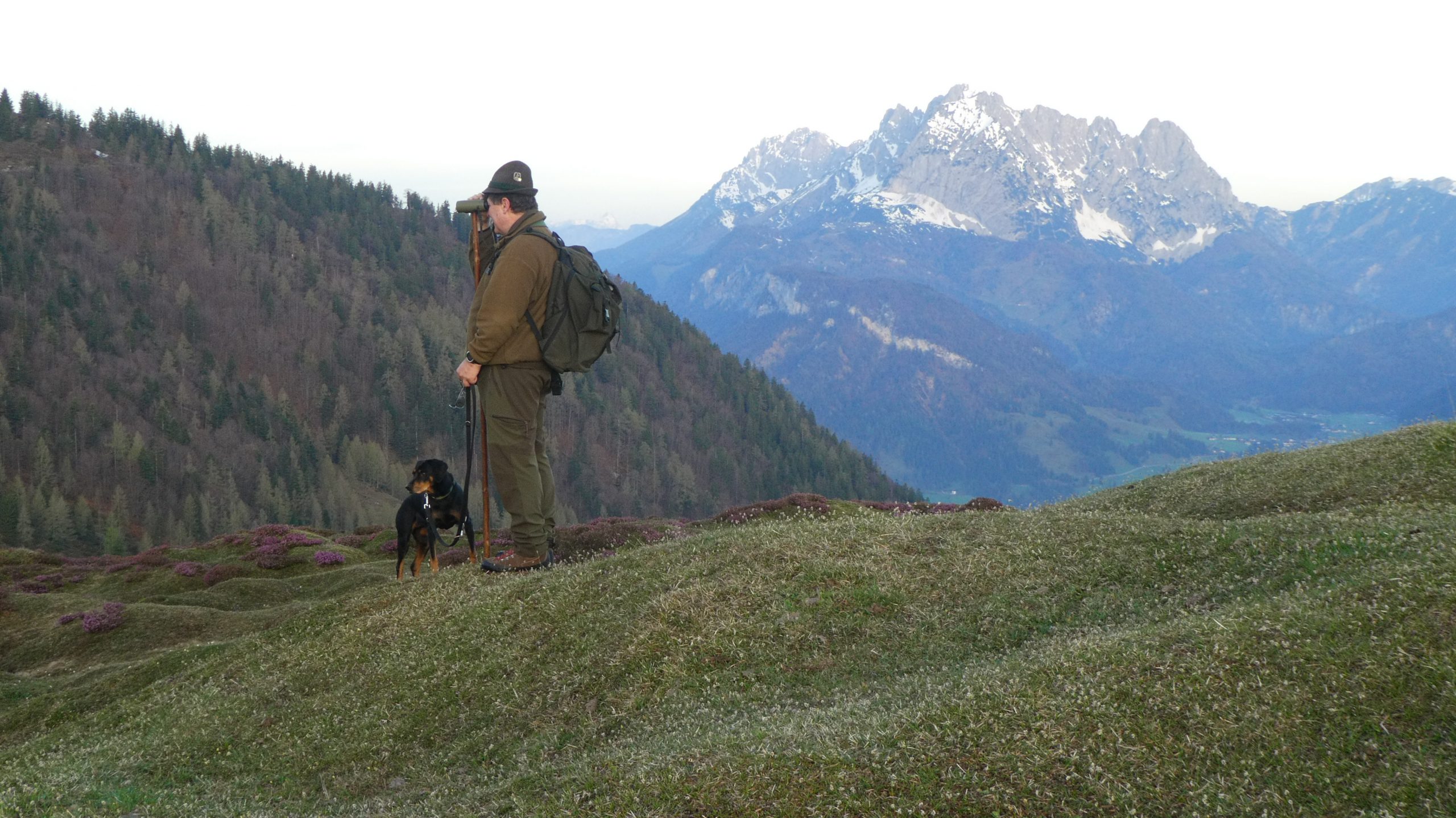 Natur pur – Sonnenuntergang und frühmorgens in Kirchdorfer Umgebung